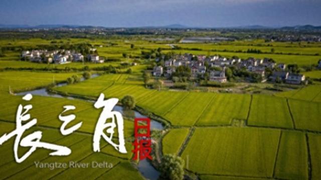 “苏超”赛场“气晕”的小恐龙有IP文创了